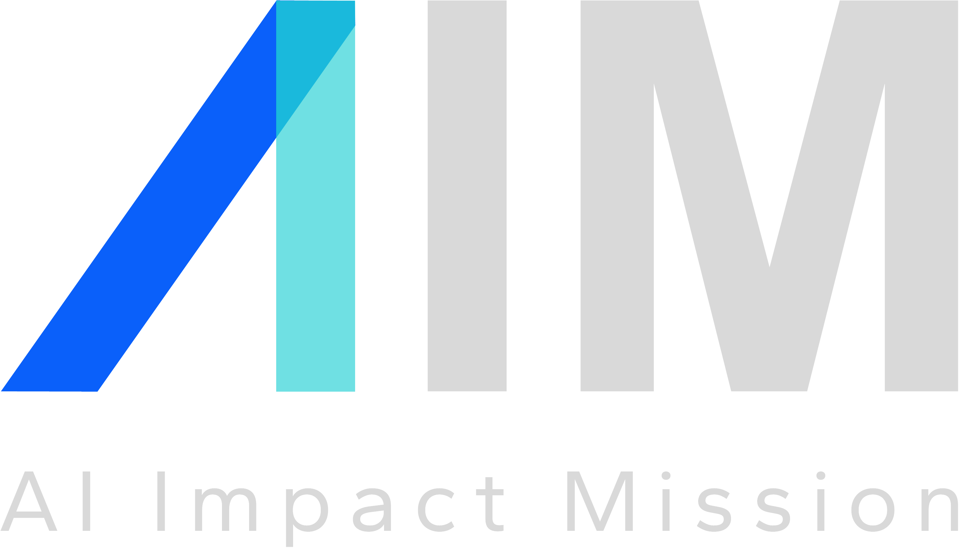 AIM Logo